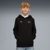 Areena Design <p>Mens BMW M Motorsport Motorsport Jersey delivers motorsport-inspired styling, lightweight comfort, and easy everyday versatility.</p> BMW M Motorsport Essentials Big Kids Hoodie <p>Mens BMW M Motorsport Motorsport Jersey delivers motorsport-inspired styling, lightweight comfort, and easy everyday versatility.</p>