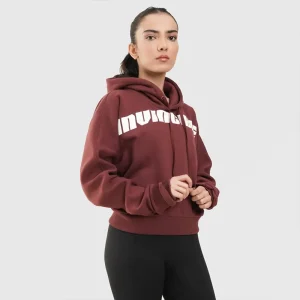 Invincible Hoodie
