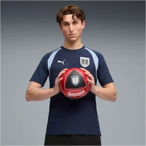 Nike FIFA World Cup 2026 Austria Training Jersey <p>Nike FIFA World Cup 2026 Austria Training Jersey delivers training-ready styling, lightweight comfort, and easy everyday versatility.</p>