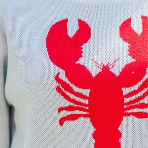 Areena Design <p>Lobster Sweater delivers comfortable everyday wear, a comfortable feel, and easy everyday versatility.</p> Lobster Sweater <p>Lobster Sweater delivers comfortable everyday wear, a comfortable feel, and easy everyday versatility.</p>