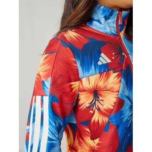 Areena Design <p>Womens adidas Blue X Farm Rio Tiro Print Track Top delivers versatile track top styling with durable everyday fabric construction, practical storage, and dependable comfort for everyday wear, travel, and casual layering.</p> Womens adidas Blue X Farm Rio Tiro Print Track Top <p>Womens adidas Blue X Farm Rio Tiro Print Track Top delivers versatile track top styling with durable everyday fabric construction, practical storage, and dependable comfort for everyday wear, travel, and casual layering.</p>