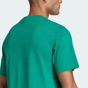 Areena Design <p>Adidas Mexico DNA Bold Green T-Shirt brings sports and fanwear styling to a comfortable shirt made for game days, fan events, training-inspired outfits, and casual weekends. Easy to style and strong for casual, fan, and streetwear outfits.</p> Adidas Mexico DNA Bold Green T-Shirt <p>Adidas Mexico DNA Bold Green T-Shirt brings sports and fanwear styling to a comfortable shirt made for game days, fan events, training-inspired outfits, and casual weekends. Easy to style and strong for casual, fan, and streetwear outfits.</p>