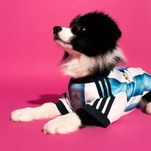 Areena Design <p>Adidas Pet Jersey delivers sport-inspired fan style, comfortable matchday wear, and comfortable everyday versatility.</p> Adidas Pet Jersey <p>Adidas Pet Jersey delivers sport-inspired fan style, comfortable matchday wear, and comfortable everyday versatility.</p>
