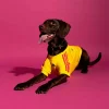Areena Design <p>Adidas Pet Jersey Nation Pack delivers nation-pack fan style, comfortable pet wear, and comfortable everyday versatility.</p> Adidas Pet Jersey 26 Colombia <p>Adidas Pet Jersey Nation Pack delivers nation-pack fan style, comfortable pet wear, and comfortable everyday versatility.</p>
