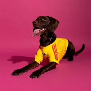 Adidas Pet Jersey 26 Colombia