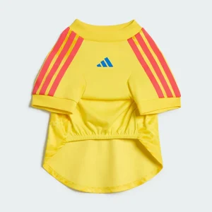 Areena Design <p>Adidas Pet Jersey 26 Colombia delivers Colombia-inspired fan style, comfortable matchday wear, and comfortable everyday versatility.</p> Adidas Pet Jersey 26 Colombia <p>Adidas Pet Jersey 26 Colombia delivers Colombia-inspired fan style, comfortable matchday wear, and comfortable everyday versatility.</p>