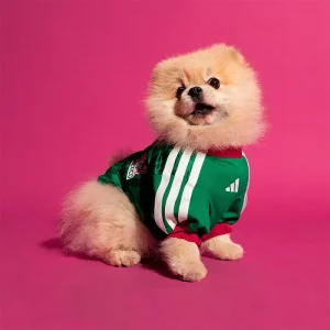 Adidas Pet Jersey 26 Mexico