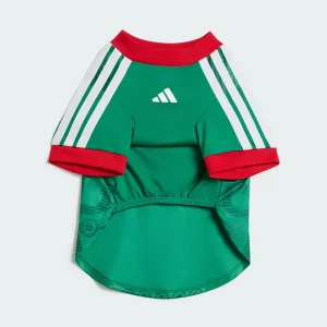 Areena Design <p>Adidas Pet Jersey 26 Mexico delivers Mexico-inspired fan style, comfortable matchday wear, and comfortable everyday versatility.</p> Adidas Pet Jersey 26 Mexico <p>Adidas Pet Jersey 26 Mexico delivers Mexico-inspired fan style, comfortable matchday wear, and comfortable everyday versatility.</p>