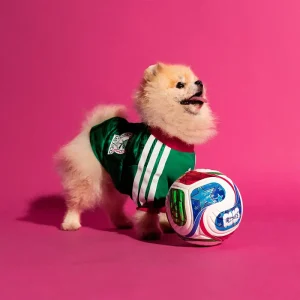 Areena Design <p>Adidas Pet Jersey 26 Mexico delivers Mexico-inspired fan style, comfortable matchday wear, and comfortable everyday versatility.</p> Adidas Pet Jersey 26 Mexico <p>Adidas Pet Jersey 26 Mexico delivers Mexico-inspired fan style, comfortable matchday wear, and comfortable everyday versatility.</p>