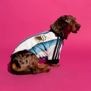 Adidas Pet Jersey