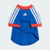 Areena Design <p>Cruz Azul Jersey delivers Cruz Azul-inspired football style, comfortable fanwear, and comfortable everyday versatility.</p> Adidas Pet Jersey Nation Pack <p>Cruz Azul Jersey delivers Cruz Azul-inspired football style, comfortable fanwear, and comfortable everyday versatility.</p>