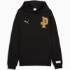 Areena Design <div class="product-short-description"><p>Elevate your collection with the PUMA Manchester City Goalkeeper Jersey, a versatile goalkeeper jersey featuring football-inspired design and fan-focused style. Designed for statement dressing, fan wear, and casual layering.</p></div> PUMA Manchester City 10th Anniversary Hoodie <div class="product-short-description"><p>Elevate your collection with the PUMA Manchester City Goalkeeper Jersey, a versatile goalkeeper jersey featuring football-inspired design and fan-focused style. Designed for statement dressing, fan wear, and casual layering.</p></div>