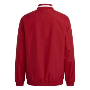 Areena Design <div class="product-short-description"><h2>LFC Adidas 26/27 Stadium Track Jacket</h2><p>The LFC Adidas 26/27 Stadium Track Jacket delivers a bold track jacket look shaped by team-inspired detailing and classic fanwear style. Easy to style with jeans, tees, or casual separates, it brings memorable visual appeal to any modern wardrobe.</p></div> LFC Adidas 26/27 Stadium Track Jacket <div class="product-short-description"><h2>LFC Adidas 26/27 Stadium Track Jacket</h2><p>The LFC Adidas 26/27 Stadium Track Jacket delivers a bold track jacket look shaped by team-inspired detailing and classic fanwear style. Easy to style with jeans, tees, or casual separates, it brings memorable visual appeal to any modern wardrobe.</p></div>