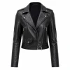 Areena Design <p>Upgrade your outerwear rotation with the <strong>Her Private Hell Sophie Thatcher Black Leather Jacket</strong>. This leather jacket style delivers a bold, recognizable look for everyday wear, events, themed outfits, and collections.</p> The Miniature Wife Elizabeth Banks Black Leather Jacket <p>Upgrade your outerwear rotation with the <strong>Her Private Hell Sophie Thatcher Black Leather Jacket</strong>. This leather jacket style delivers a bold, recognizable look for everyday wear, events, themed outfits, and collections.</p>