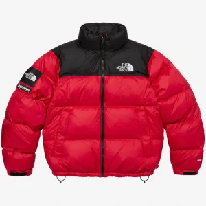 The North Face Supreme Puffer Jacket